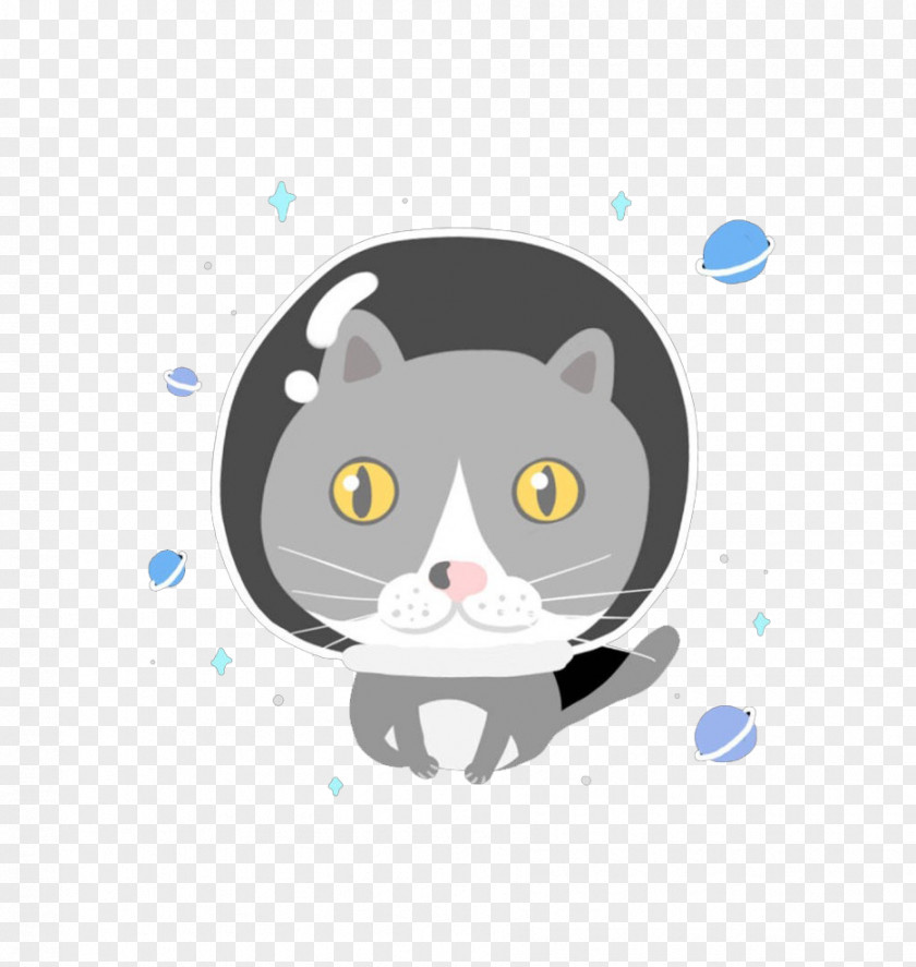 Cartoon Space Cat Whiskers PNG