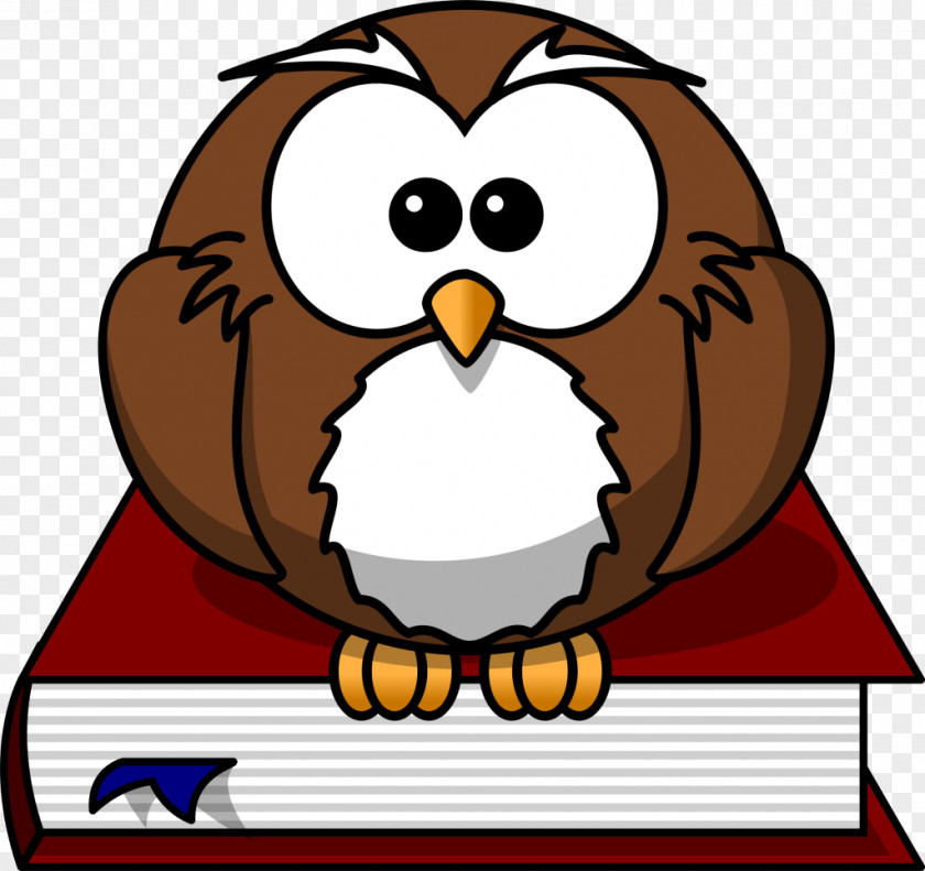 Owl Book Cartoon Clip Art PNG