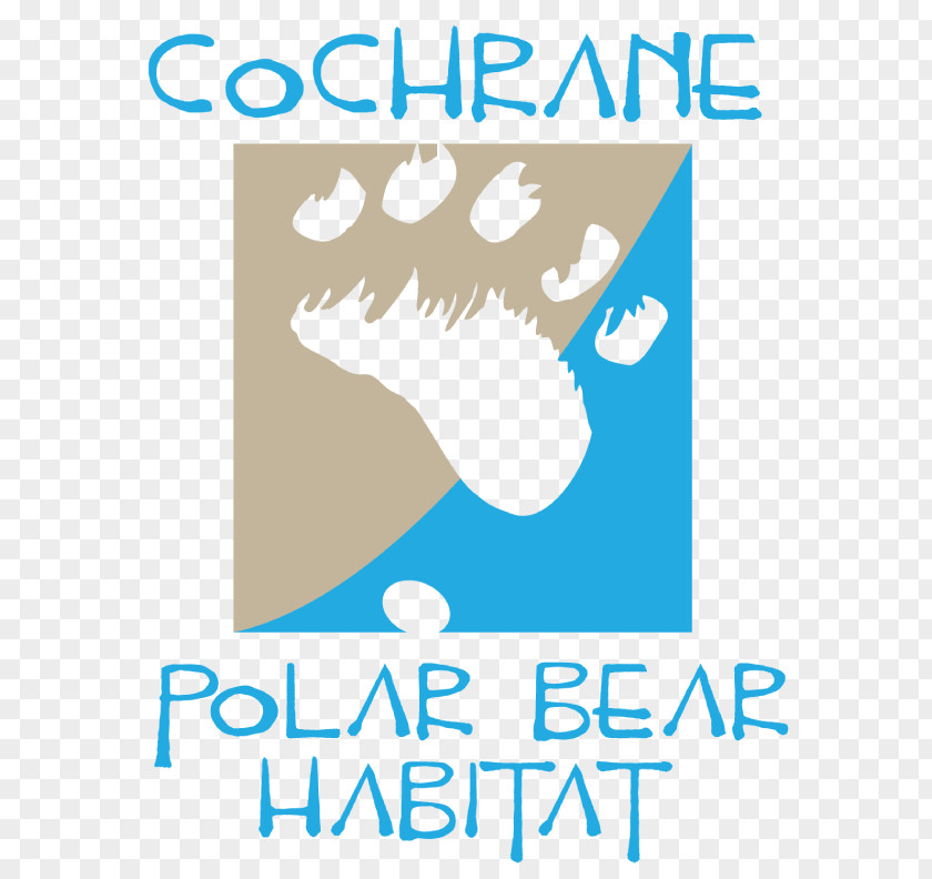 Polar Bear The Cochrane Habitat Species Reintroduction PNG