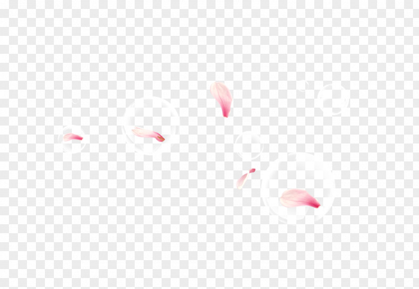 The Petals In Bubbles Download Adobe Fireworks Clip Art PNG