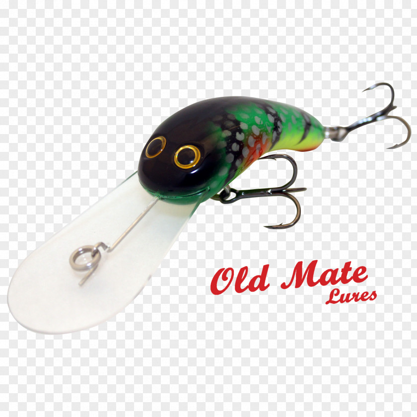 Australian Green Tree Frog Spoon Lure Spinnerbait Plug Golden Perch Fishing Baits & Lures PNG