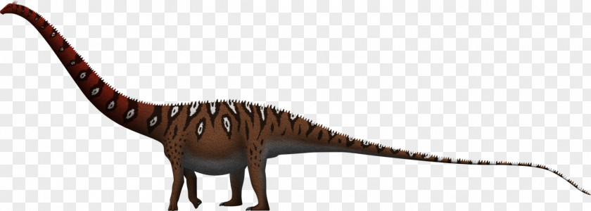 Dinosaur Dinheirosaurus Amphicoelias Supersaurus Brachiosaurus Allosaurus PNG
