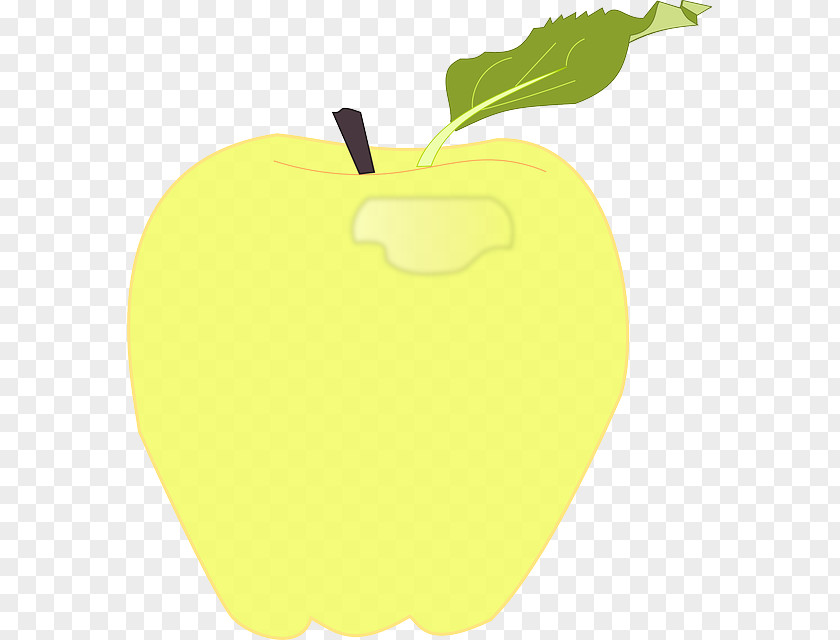 Apple Yellow Red Color Gold PNG