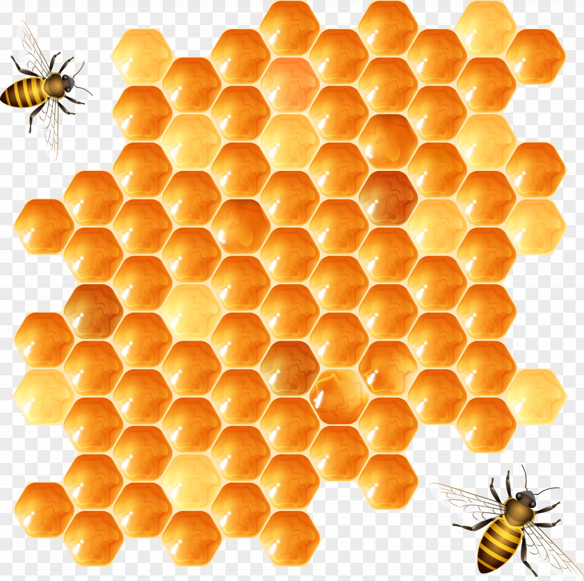 Bee Hive Design Vector Material Beehive Honeycomb PNG