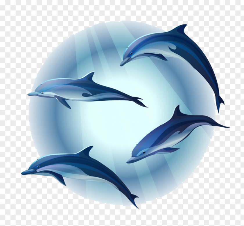 Dolphin Mural PNG