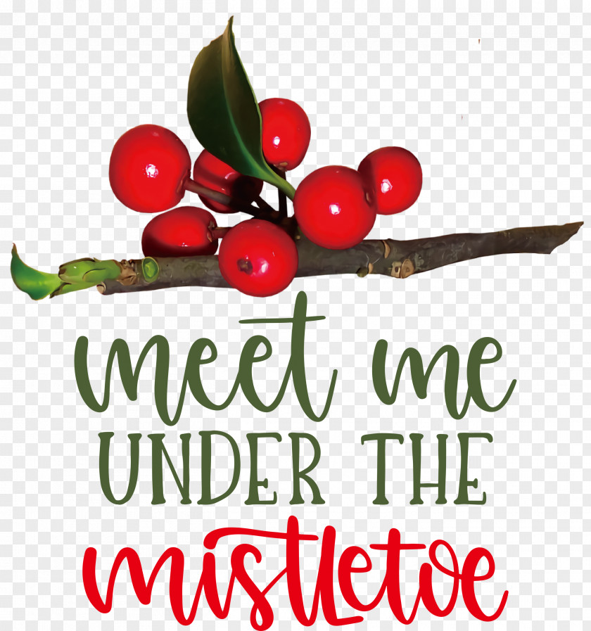 Meet Me Under The Mistletoe PNG