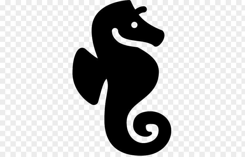 Seahorse Clip Art PNG