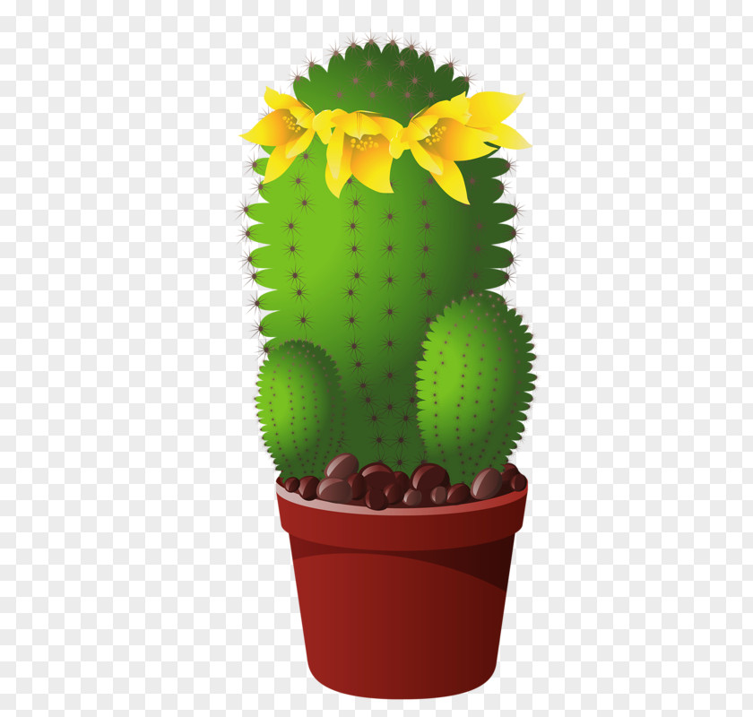 Succulent Clip Art Clipart Vector Cactus Et Succulentes Plant PNG