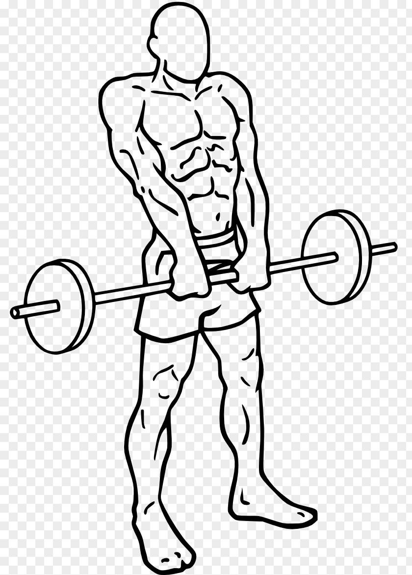 Barbel Exercise Fitness Centre Muscle Training Shoulder PNG
