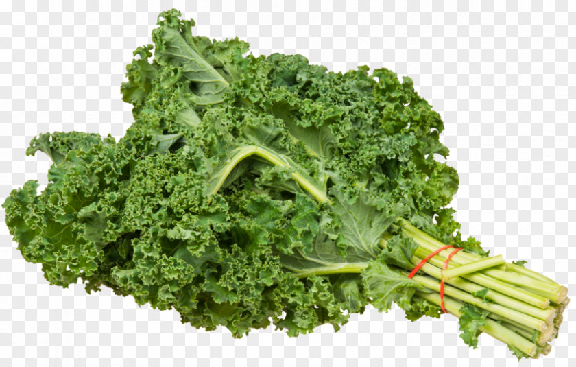 Kale Vegetable Food PNG