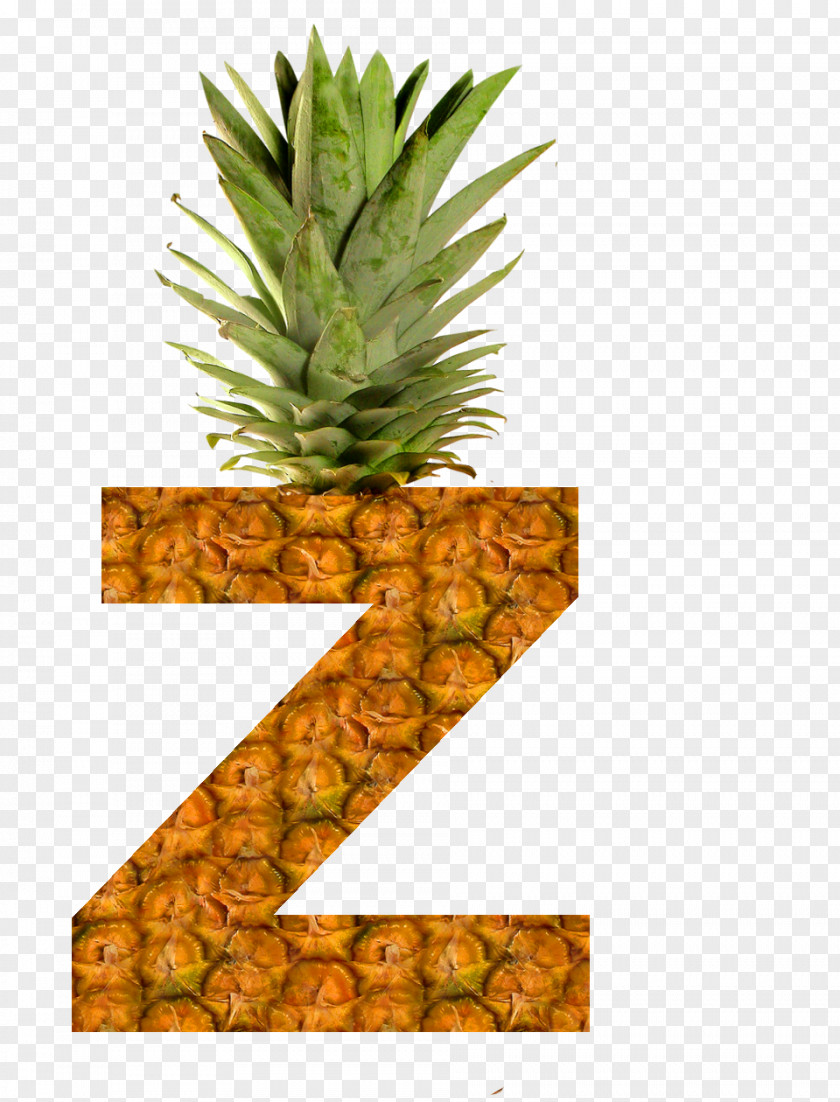 Pineapple Succade Pizza Fruit PNG
