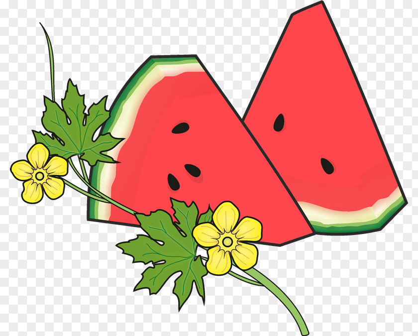 Bi Drawing Watermelon Gospel Coloring Book PNG