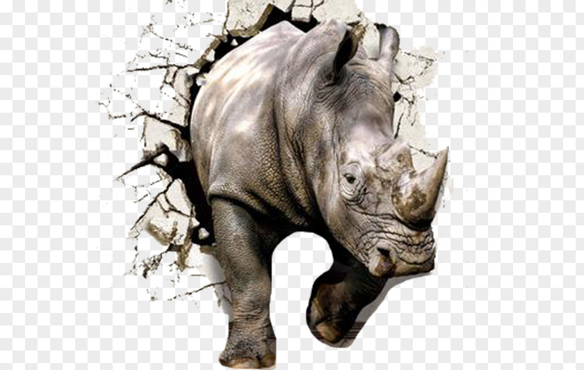 Broken Wall Stereoscopic Rhino Rhinoceros 3D The Gray Rhino: How To Recognize And Act On Obvious Dangers We Ignore Paper Wallpaper PNG