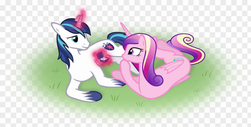 Drawing Proposal Pony Princess Cadance Shining Armor Pinkie Pie Rainbow Dash PNG
