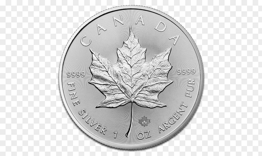 Gold Leaf Canadian Maple Silver Bullion Coin PNG