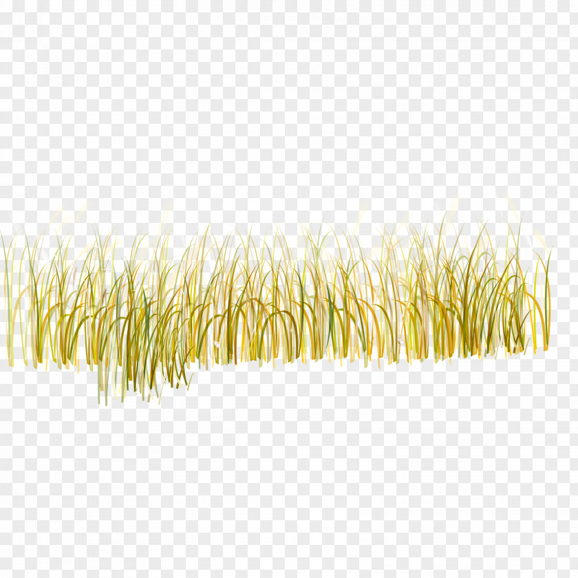 Grass Yellow Pattern PNG