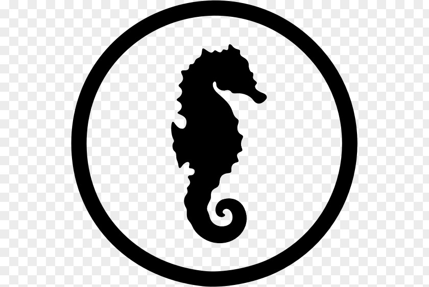 Seahorse New Holland Silhouette Wall Art PNG