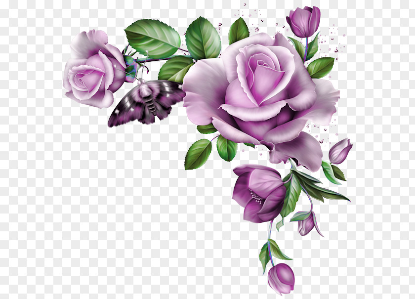 Barra Filigree Flower Rose Clip Art Floral Design PNG