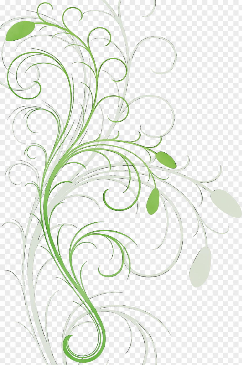 Floral Design Plant Stem Pattern Leaf PNG