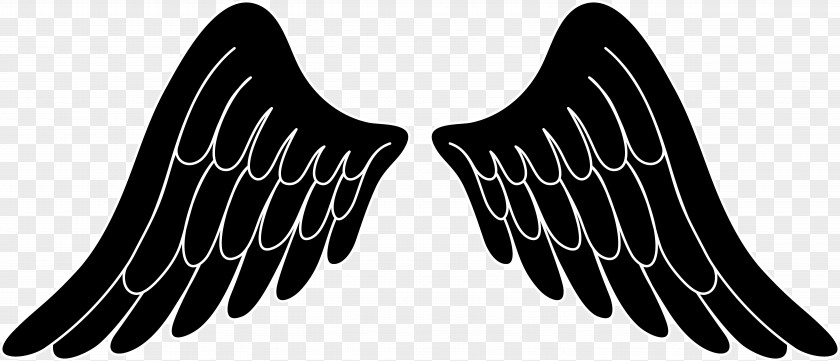 Free Vector Angel Wings Content Clip Art PNG