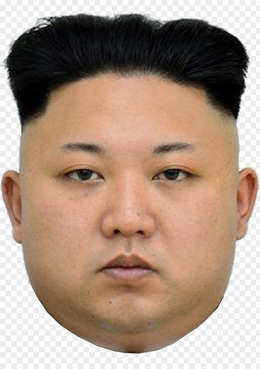 Kim Jong-un North Korea South United States Photograph PNG