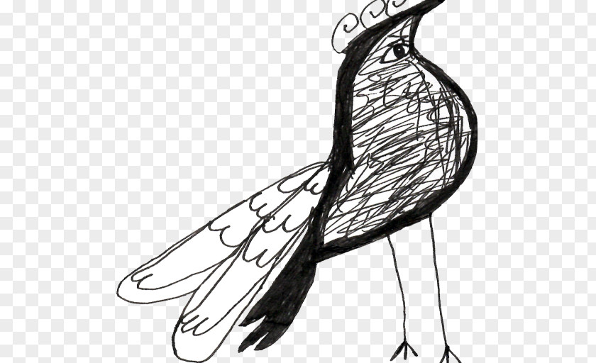 Birdie Drawing Bird PNG
