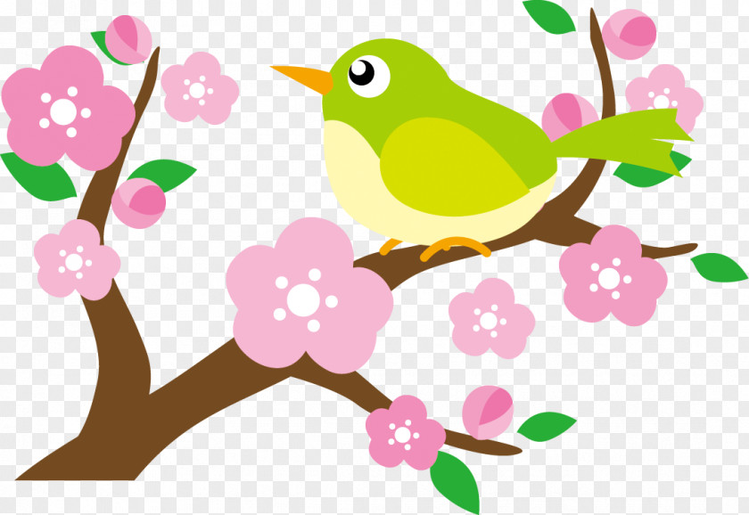 Design Floral Japanese Bush Warbler Flower PNG