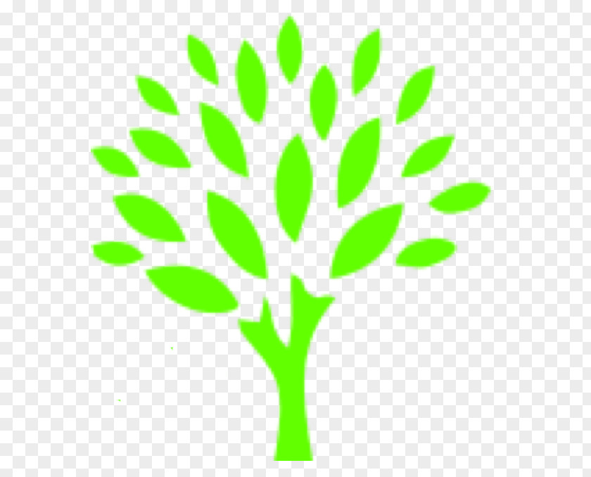 Green Travel Image Clip Art Go Auto Spa Tree PNG
