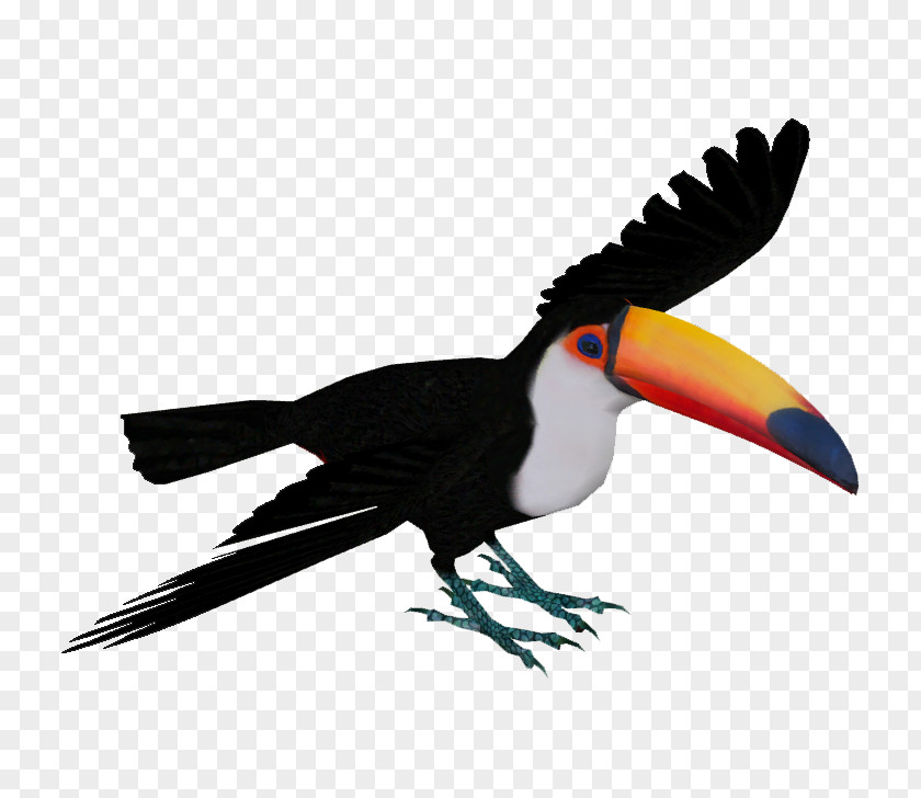 Toucan Zoo Tycoon 2 Toco Piciformes Bird Fiery-billed Aracari PNG
