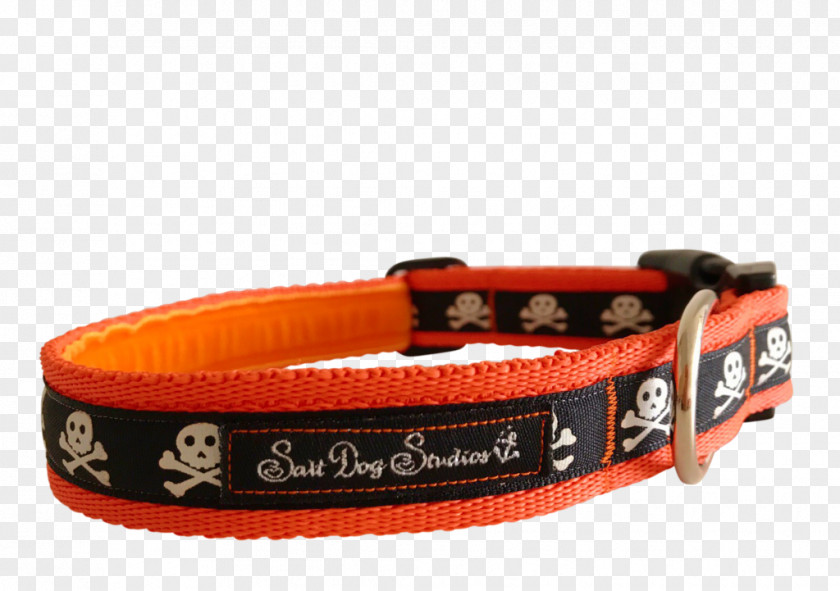 Dog Collar Webbing Fashion PNG