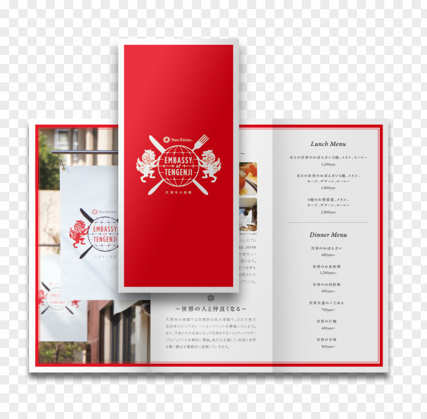 Flyer Designs Brochure PNG