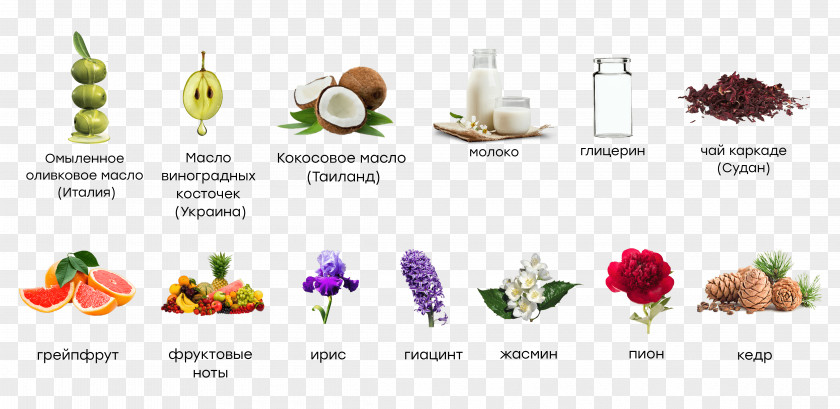 Perfume Cosmetics Soap Cut Flowers Oil PNG