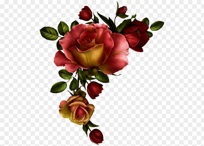 Purple Rose Clip Art PNG