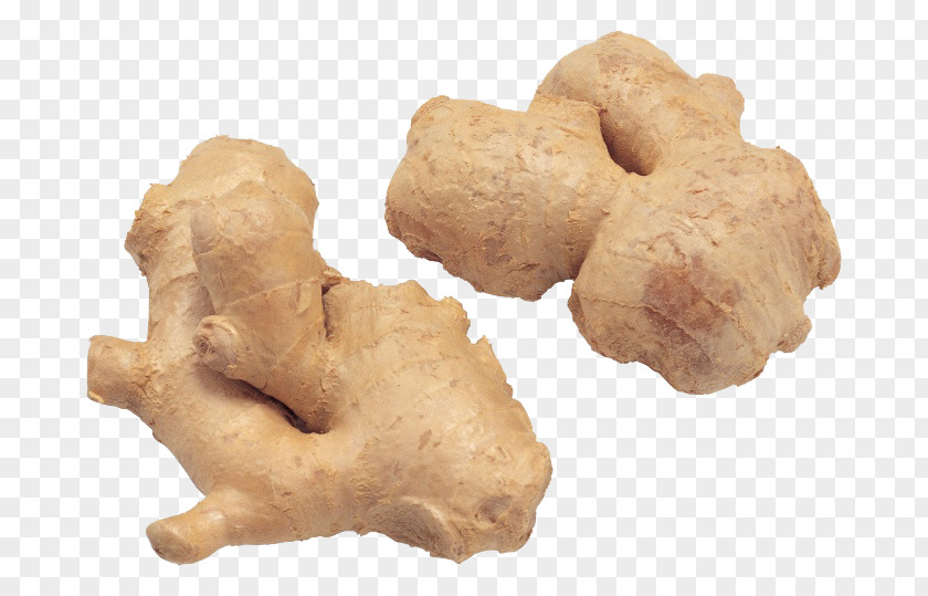 Two Ginger Download PNG