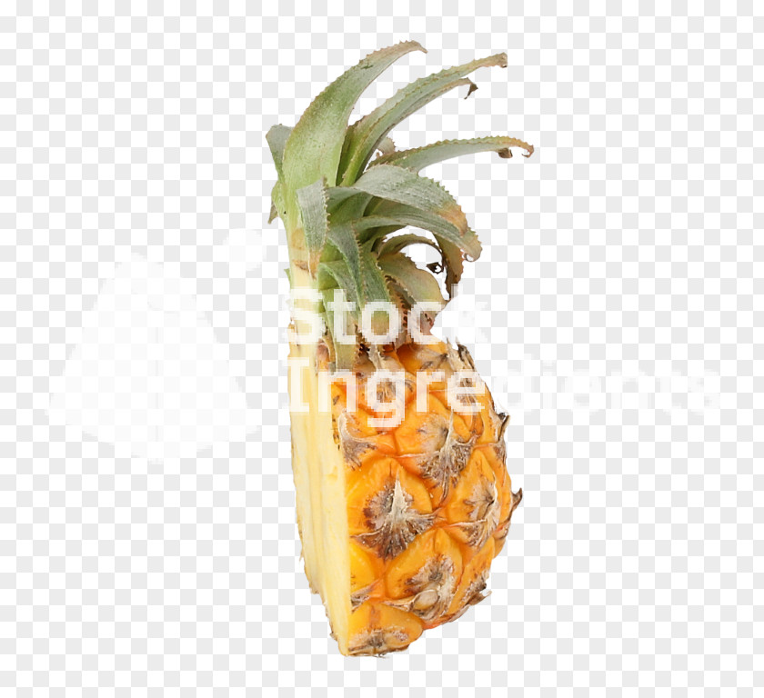 Pineapple Slices Bromeliads Food Plant PNG