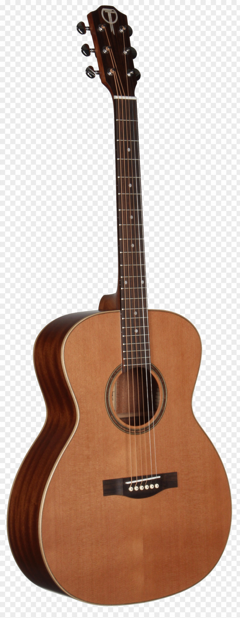Acoustic Guitar Electric Classical PNG