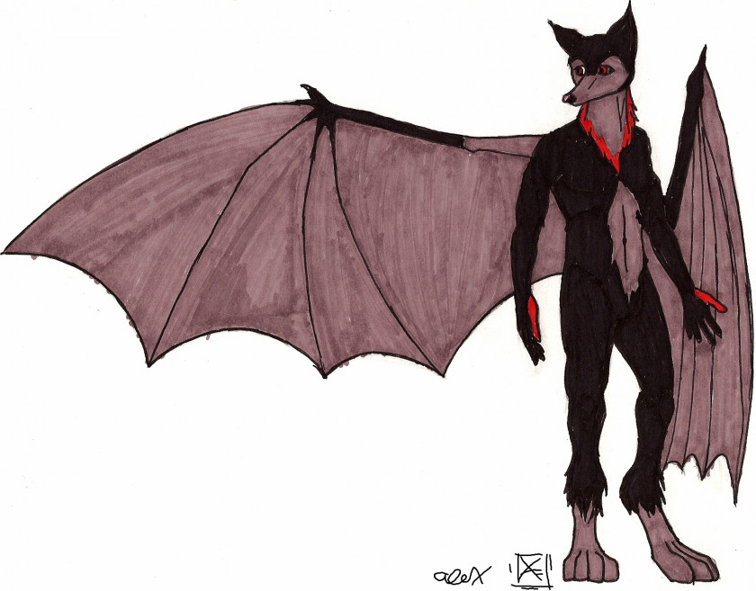 Bat Megabat Vampire Fruit Drawing PNG