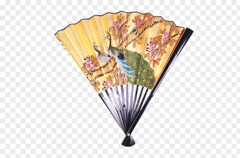 Hand Fan JPEG Image Peafowl Paper PNG