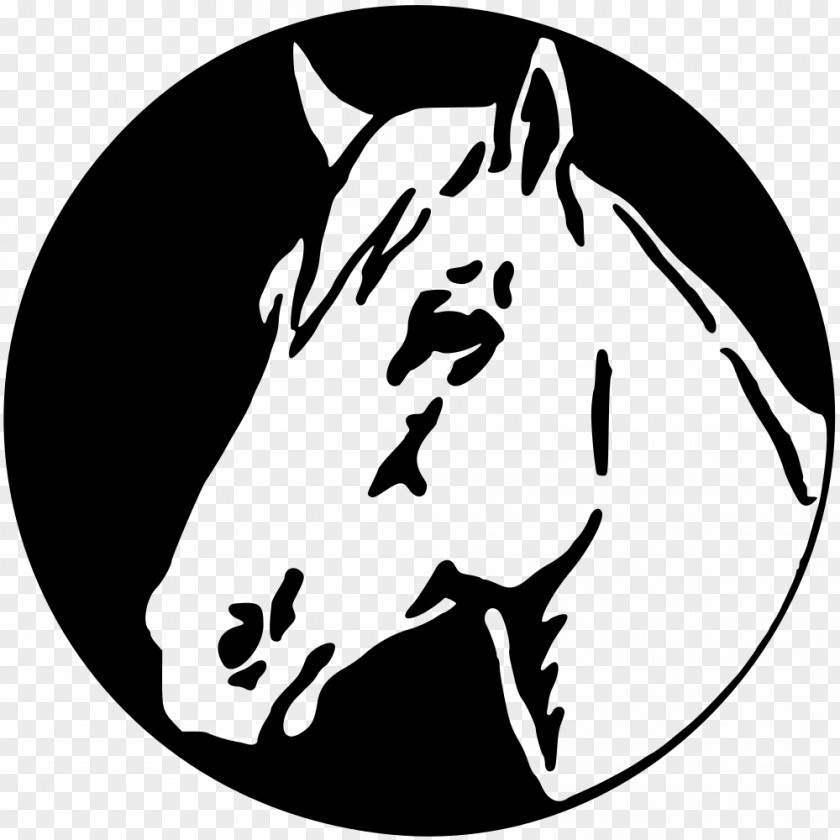 Horse Pony Borders And Frames Clip Art PNG
