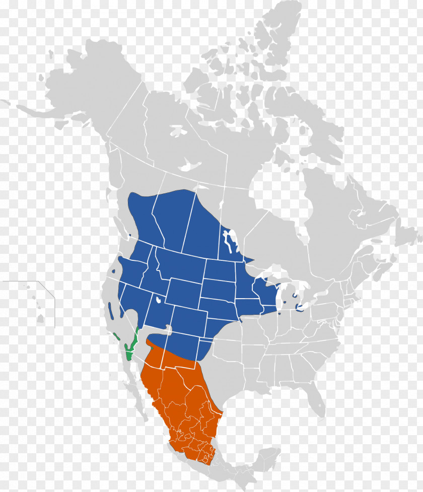 Ochre National Bison Range American Western United States Eastern Screech Owl Hunting PNG