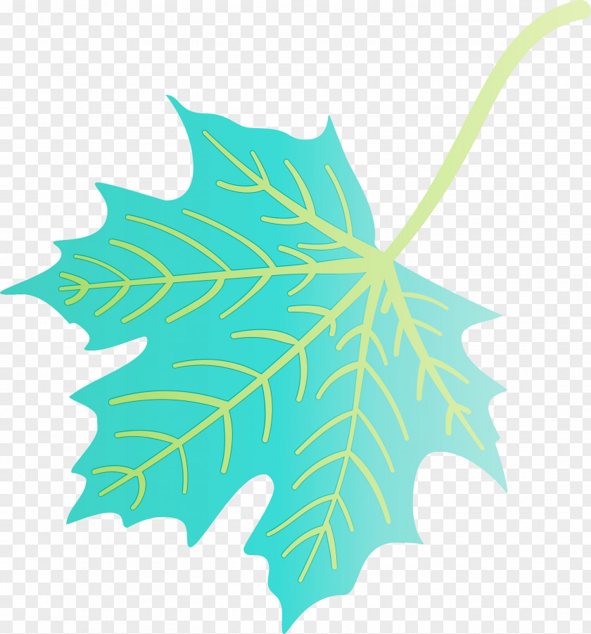 Plant Stem Leaf Green Line Plants PNG