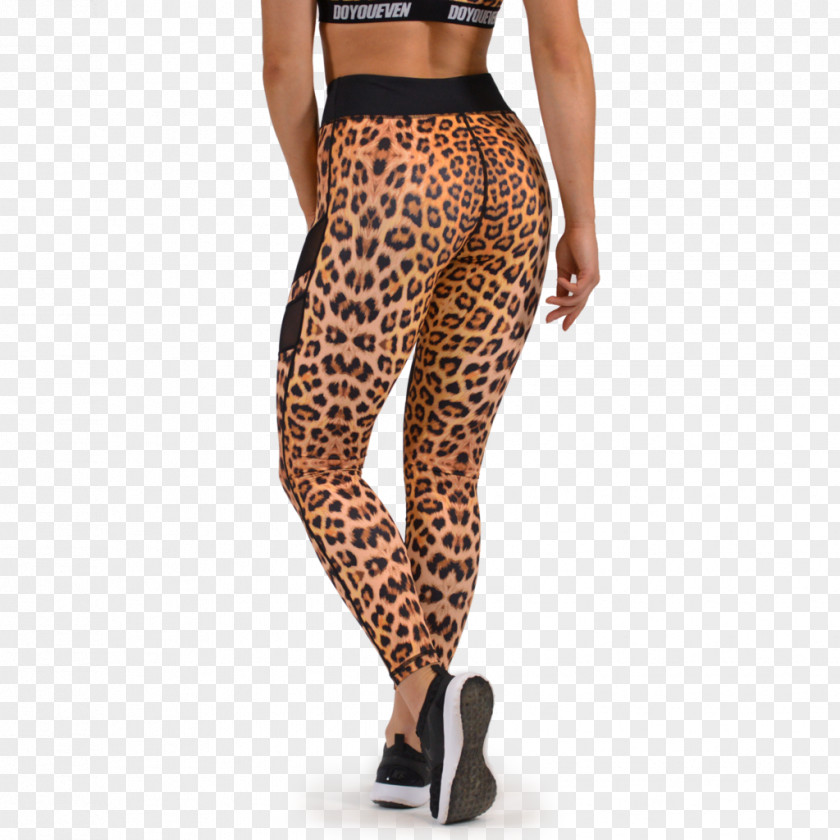 Waisted Leggings Leopard Clothing Pants Sportswear PNG