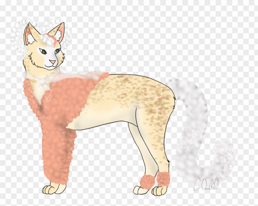 Cat Whiskers Red Fox Dog Breed PNG