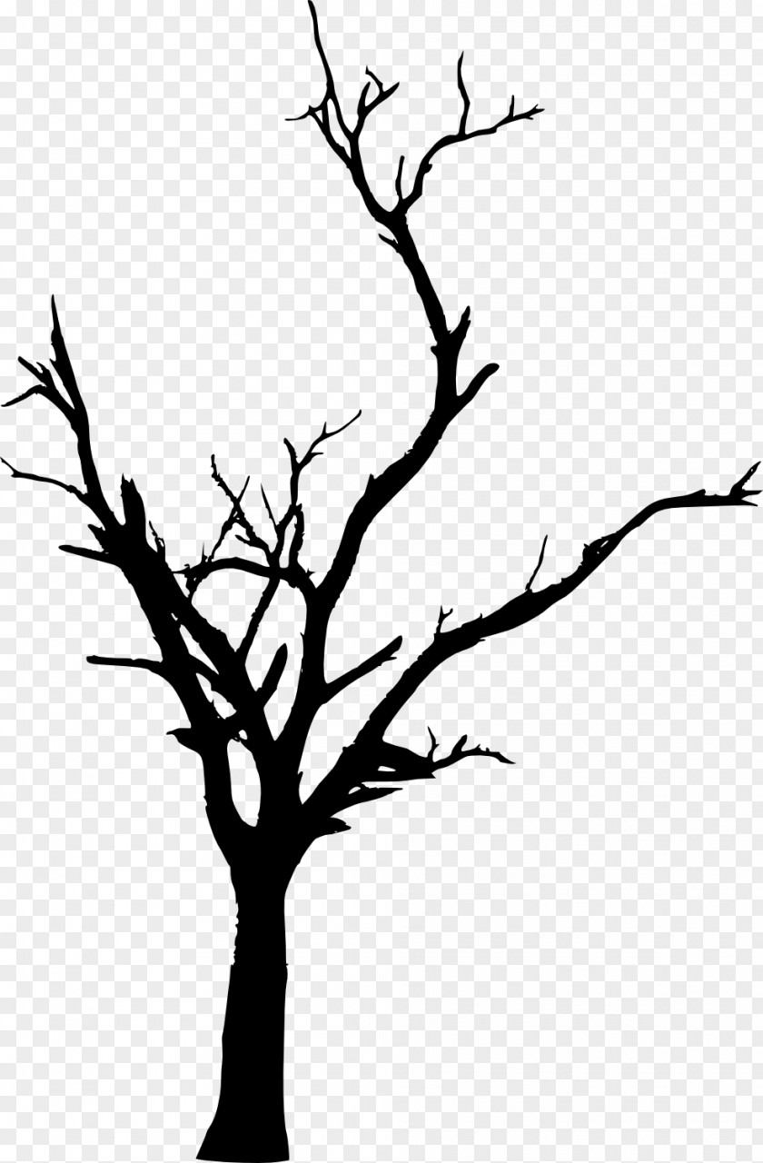 Dead Tree Woody Plant Branch Twig Clip Art PNG