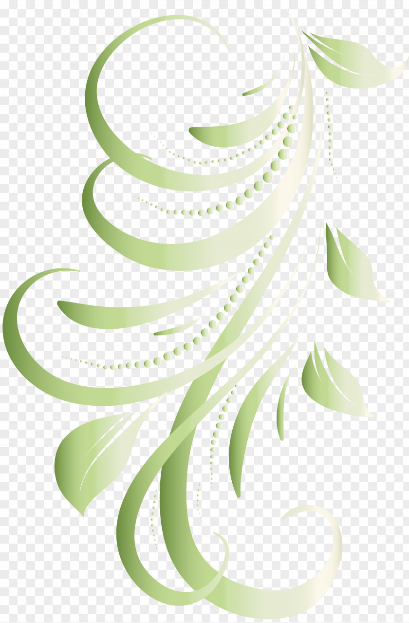 Elements Flower Plant Stem PNG