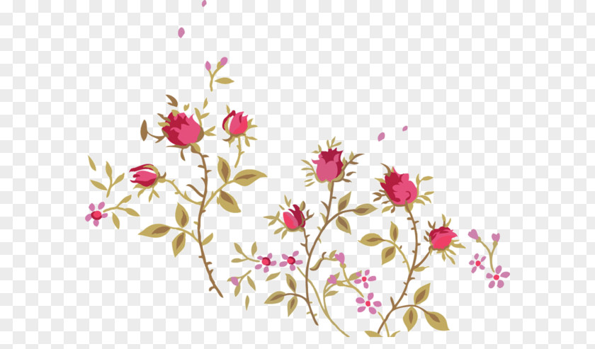 Flower Floral Design Thorns, Spines, And Prickles Beach Rose PNG
