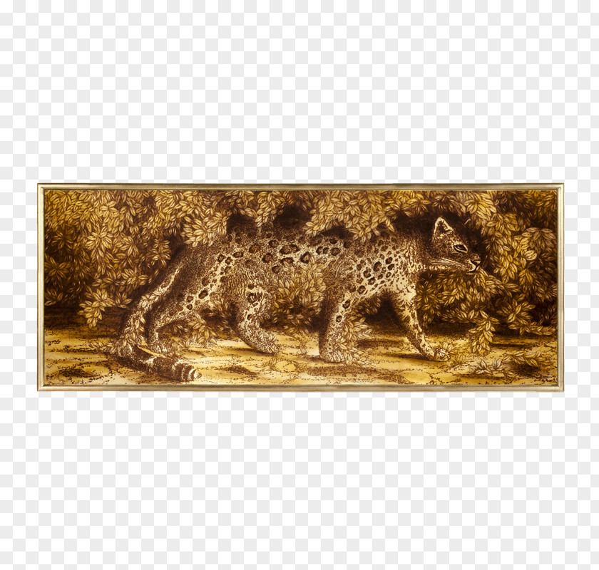 Leopardo Wildlife Fauna Stock Photography Carnivora PNG