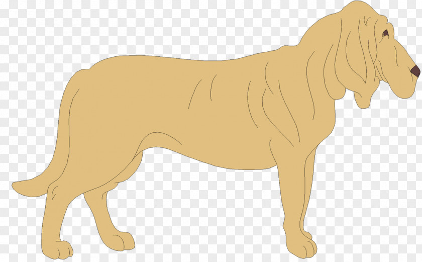 Matrimony Banner Dog Breed Lion Cat Pet PNG