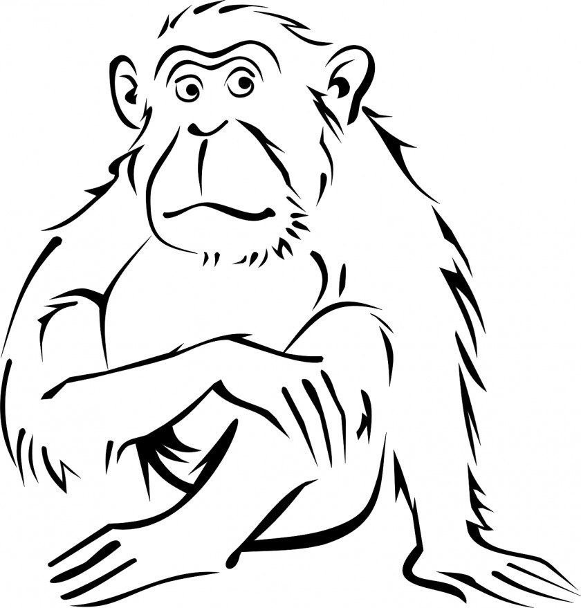Monkey Coloring Book Drawing Black-and-white Colobus Clip Art PNG