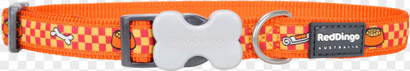 Red Collar Dog Dingo PNG